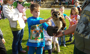 zoo12