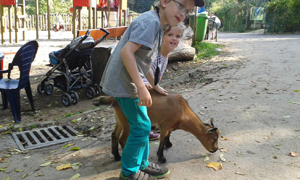 zoo15