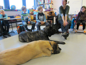 hund6