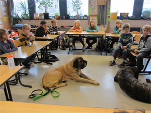 hund8