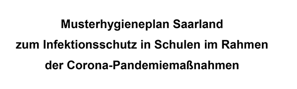 musterhygieneplan